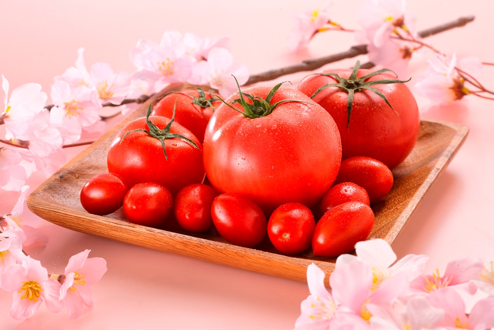 量販店試食キャンペーン開催!いわき産トマトの旬の味を確かめよう!