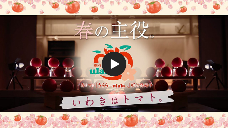 私が主役。いわきはトマト【春ver】